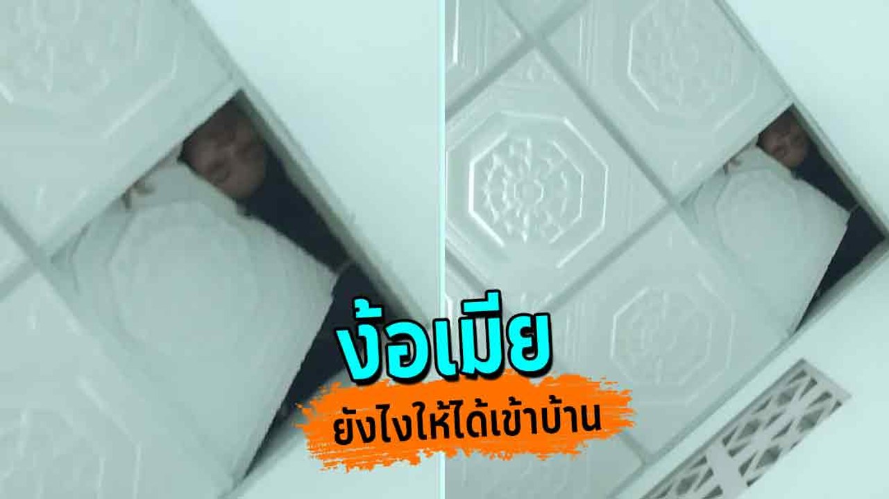 พ่อบ้านใจกล้า ไม่กลัวตายทุ่มสุดตัว มาง้อด้วยวิธีนี้ ทำเอาภรรยา ทั้งโกรธทั้งขำ