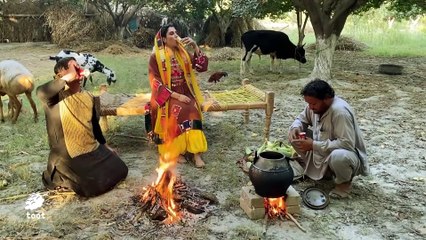 Corn Party in Nangarhar Afghanistan - Fête du maïs à Afghanistan