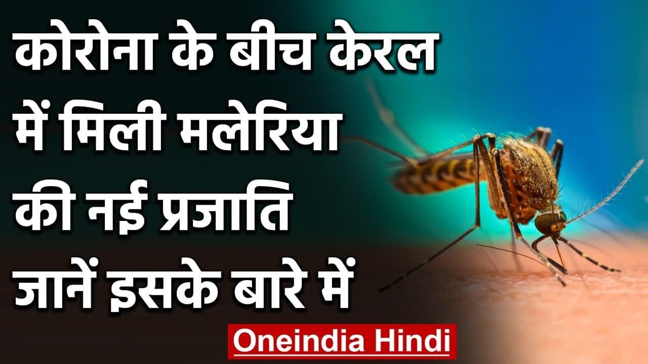 Kerala: Kerala में मिली Malaria की नई प्रजाति, Sudan से आया Soldier संक्रमित । वनइंडिया हिंदी