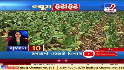 Latest News Happenings Of This Hour  12-12-2020  Tv9GujaratiNews