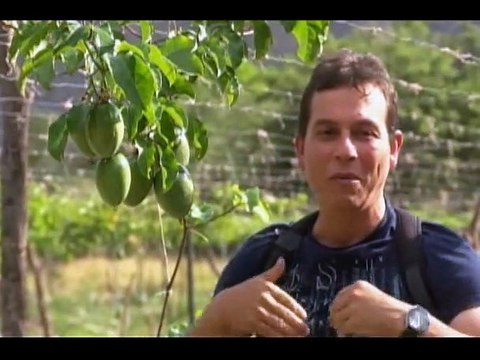 Travesía en lo Natural 12DIC2020 | Proyección de saberes prácticos de salud ancestral