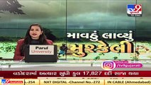 Farmers suffer crop loss due to unseasonal rain in Gujarat, demand compensation  TV9News