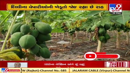 Farmers in central Gujarat affected due to protest over farm laws in Delhi  TV9News