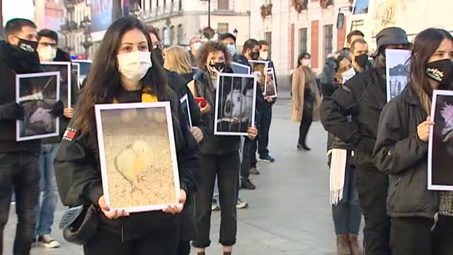 Decenas de personas se manifiestan en Sol en defensa de los derechos de los animales