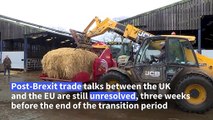 British farmer concerned over Brexit 'uncertainty', as end of transition period looms