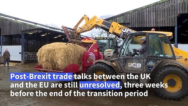 British farmer concerned over Brexit 'uncertainty', as end of transition period looms