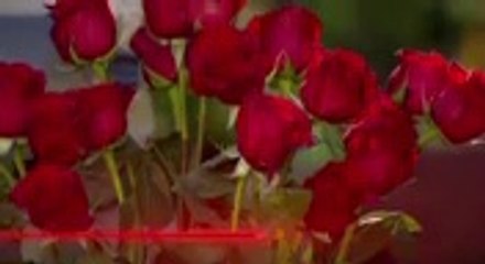 Verdades Ocultas Capitulo 756