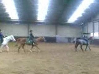 spectacle d'équitation