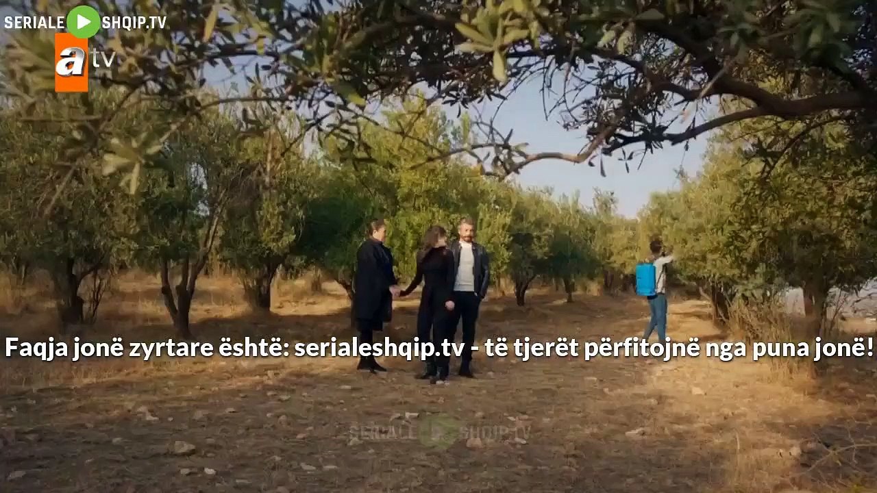 51.2
