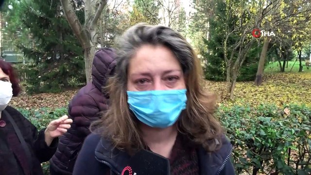 Savcılıktan köpek katliamı ile ilgili açıklama