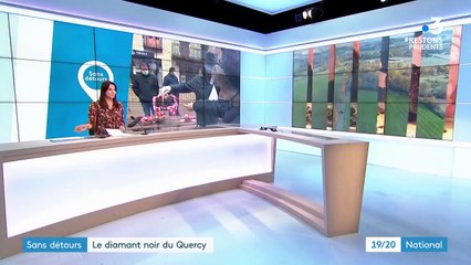 Lot : la truffe, le diamant noir du Quercy