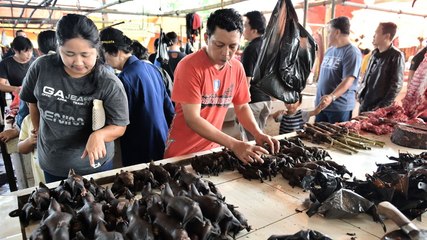 Bats are still on the menu and for sale at markets in Indonesia, despite their link to COVID-19