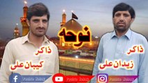 Pashto Noha 2020 | pashto nohay | Pashto Nohay 2021 Parachinar | zakir zaidan ali and And zakir kiban ali