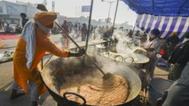 Sarson Saag, Pizza! delicious foods in farmers' protest