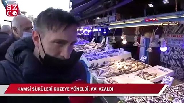 Hamsi sürüleri kuzeye yöneldi, avı azaldı