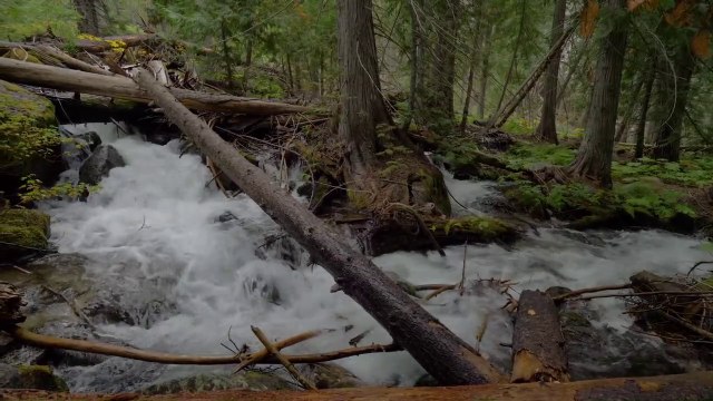 4K Forest Waterfalls at Enchantment Lakes Trail - Nature Sounds of a Waterfall -
