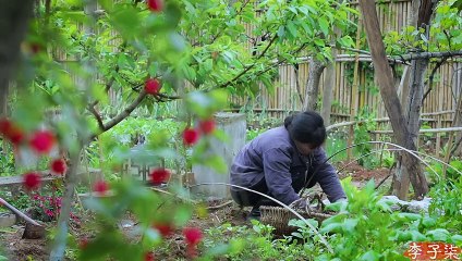 La vida de las sandías y las uvas
