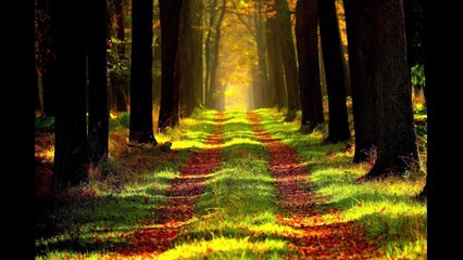 The Barbie Repair Cafe: How we recreate the vintage hairstyle after de greening the ears | part 2