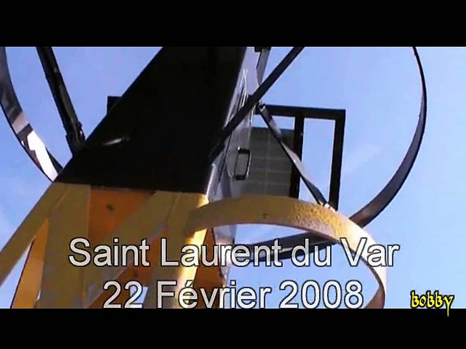 Kayak, Mouettes et Goélands