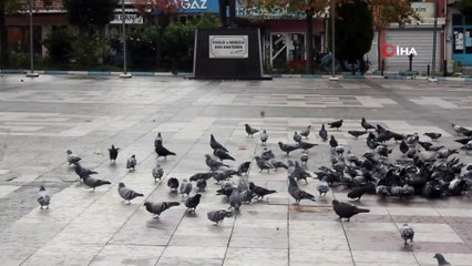 Manyas’ta meydanlar kuşlara kaldı