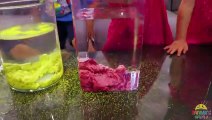 SAND THAT NEVER GET WET -  Science Experiments for kids!!!