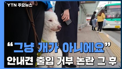 "그냥 개가 아니에요"...'안내견 출입 거부' 논란 그 후 / YTN