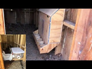 Chicken feeder, wall mount, no waste