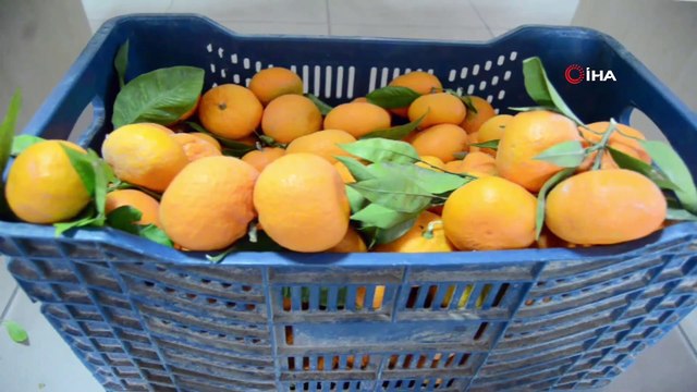 Söke Kent Konseyi’nden, filyasyon ekiplerine kumanya desteği