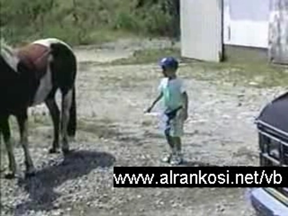 Kid Learns the Hard Way Not To Stand Behind a Horse