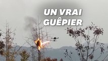 En Chine, un drone lance-flammes pour détruire les nids de guêpes