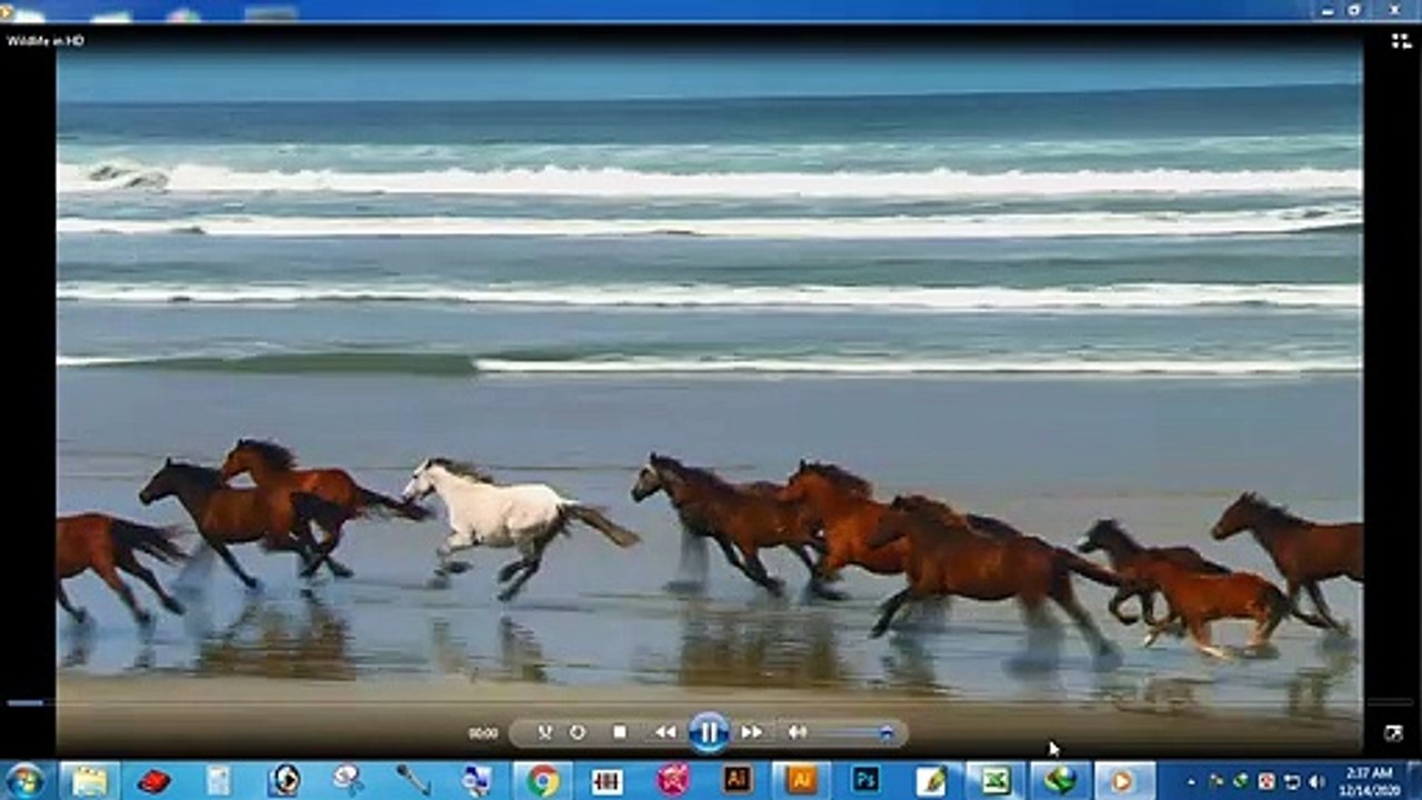 Test video 4 dailymotion