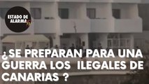 ¿Se preparan para una guerra los ilegales de Canarias? Vean y juzguen