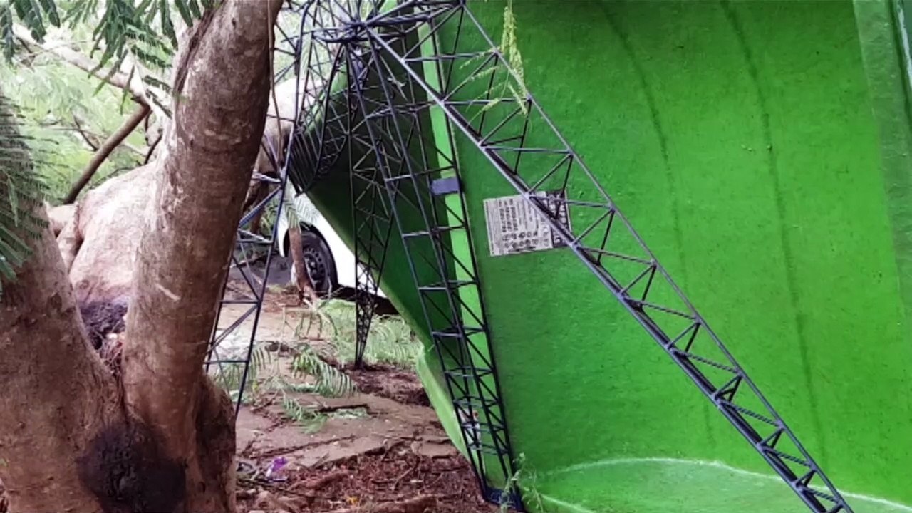 Galho de árvore cai em cima de ponto de ônibus e carro na Rua Plínio Salgado