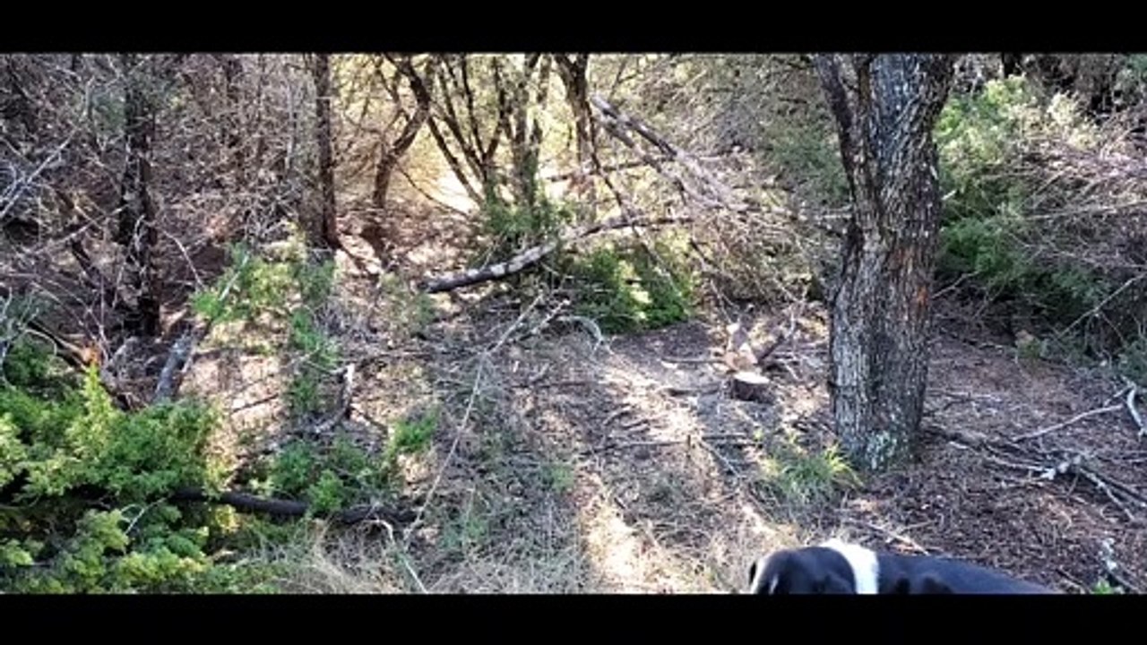 Camping Weekend 12132020