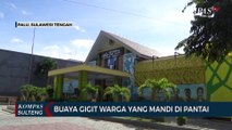 Buaya Gigit Warga Yang Mandi di Pantai