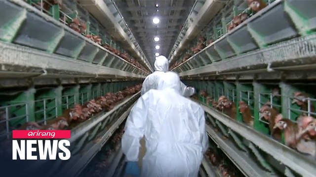 S. Korea confirms 3 more cases of highly pathogenic bird flu, raising this year's total to 13