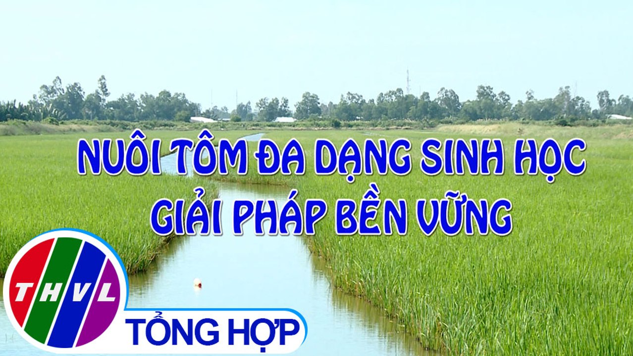 Nông nghiệp bền vững: Nuôi tôm đa dạng sinh học - giải pháp bền vững