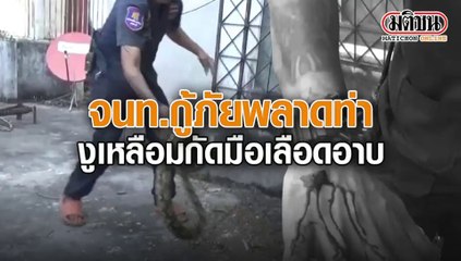 พลาด! จนท.กู้ภัยช่วยจับงูเหลือม ขดบนระเบียงร้านค้าส่งสระบุรี ไม่ระวังถูกกัดมือเลือดอาบ