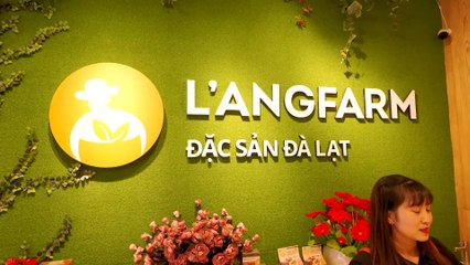 Video gioi thieu san xuat hong say treo (Nha may Dinh An)