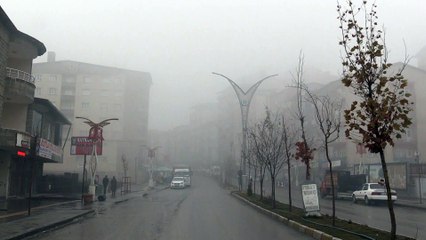 HAKKARİ - Sis etkili oldu