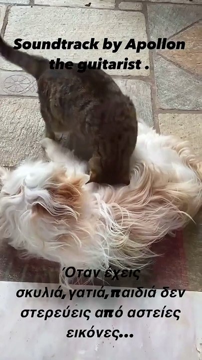 Απόλλων Ρουβάς: Ο μικρός γιος του Σάκη πήρε το ταλέντο του – Ιδού και η απόδειξη!