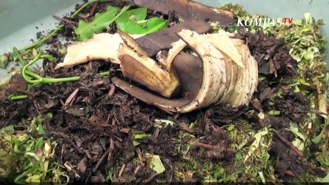 Memanfaatkan Limbah Organik Rumah Tangga Menjadi Pupuk