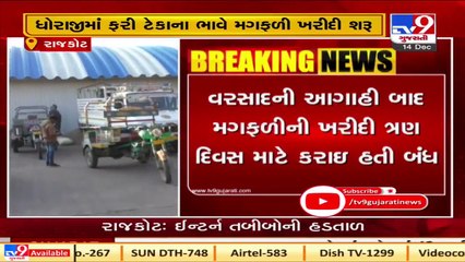 Process of procuring groundnut at MSP resumes at Dhoraji marketing yard in Rajkot   TV9News