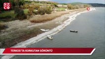 İstanbul’un önemli su kaynağı Terkos’ta korkutan görüntü