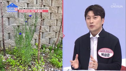 전문가가 본 ‘배산임수’ 하우스의 건강 인테리어 진단!