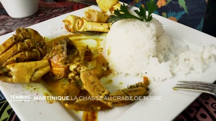 Martinique : La chasse au crabe de terre