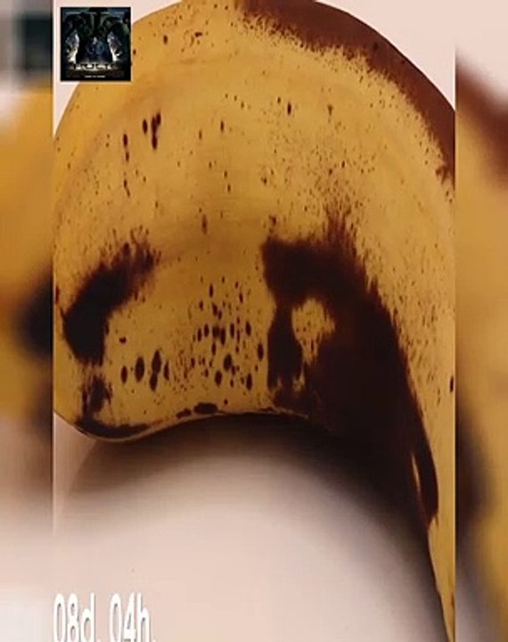 INCREIBLE como se descompone un platano en 21 dias - QueApetito