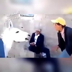 مقاطع تمووووووووووت من الضحك هههههههههه