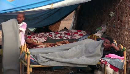 Etiyopya’daki çatışmalar nedeniyle Sudan’a sığınanların sayısı 50 bine yaklaştı