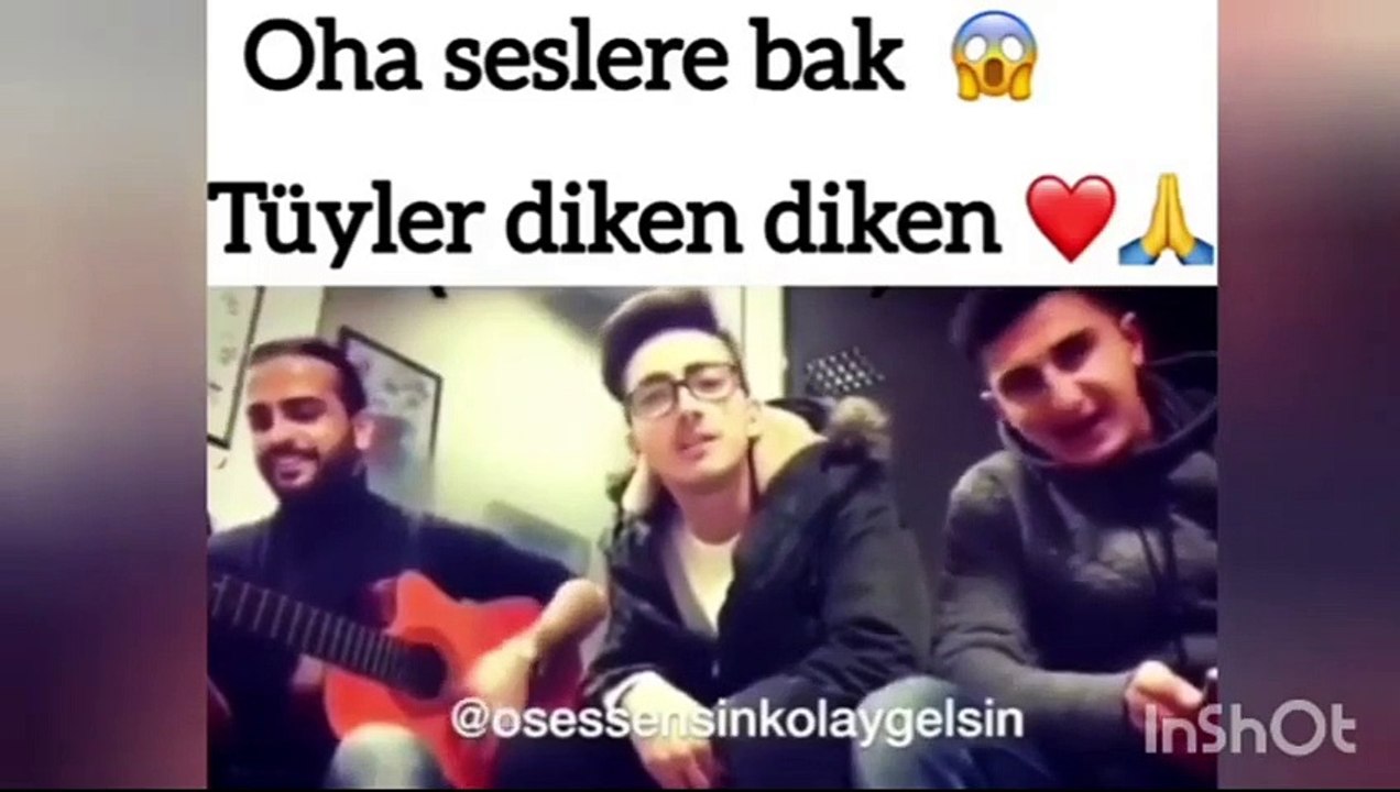 Talentet e muzikes